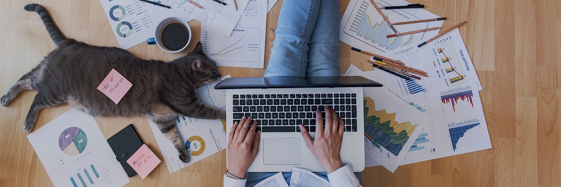 COVID-19 Employers Guide - JB Morrison